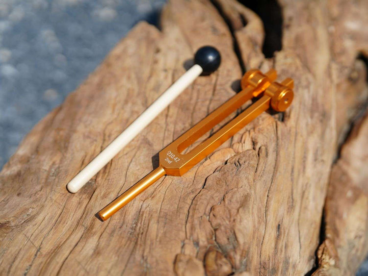Tuning Fork Set