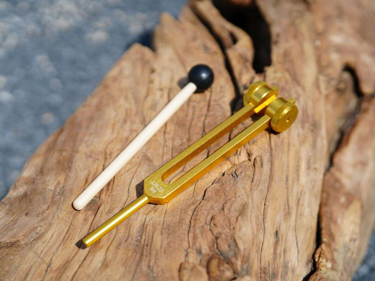 Tuning Fork Set