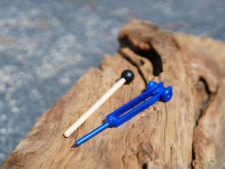 Tuning Fork Set