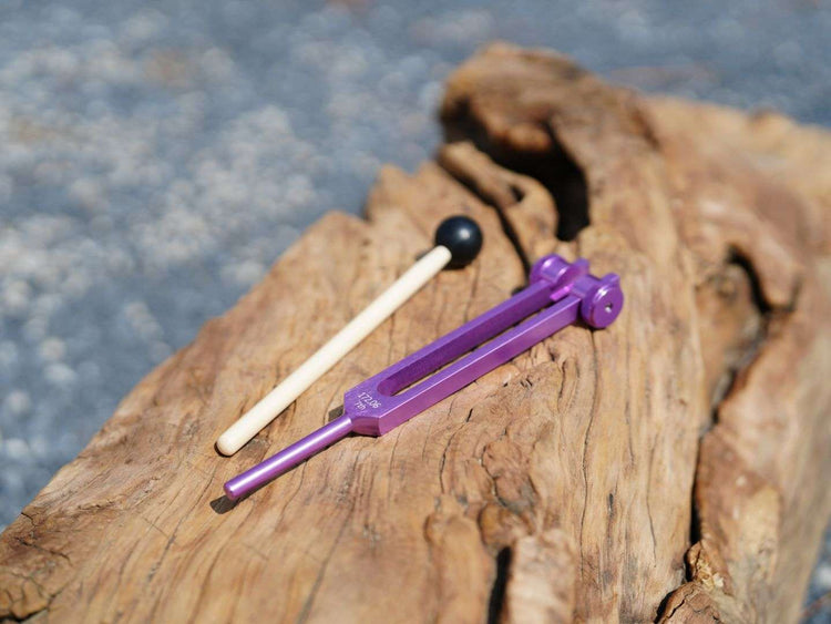 Tuning Fork Set