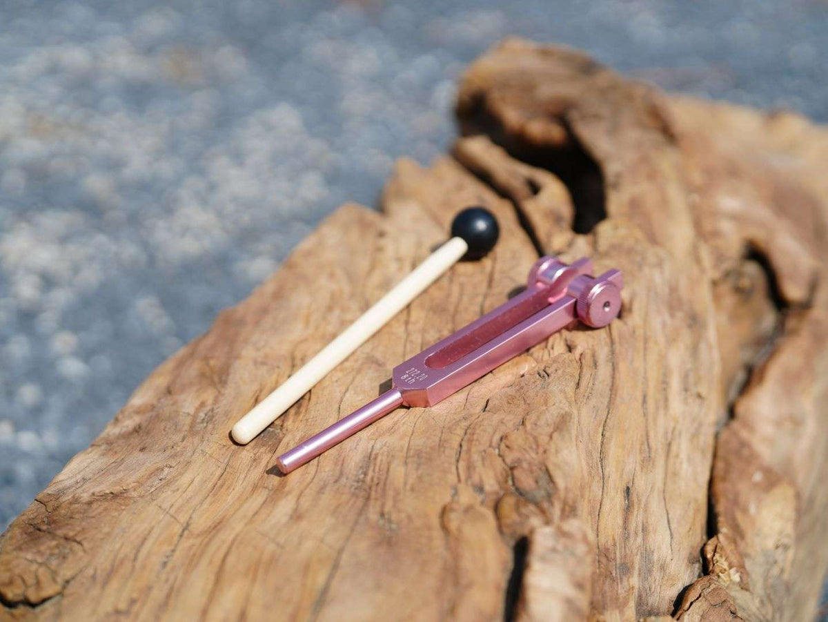 Tuning Fork Set